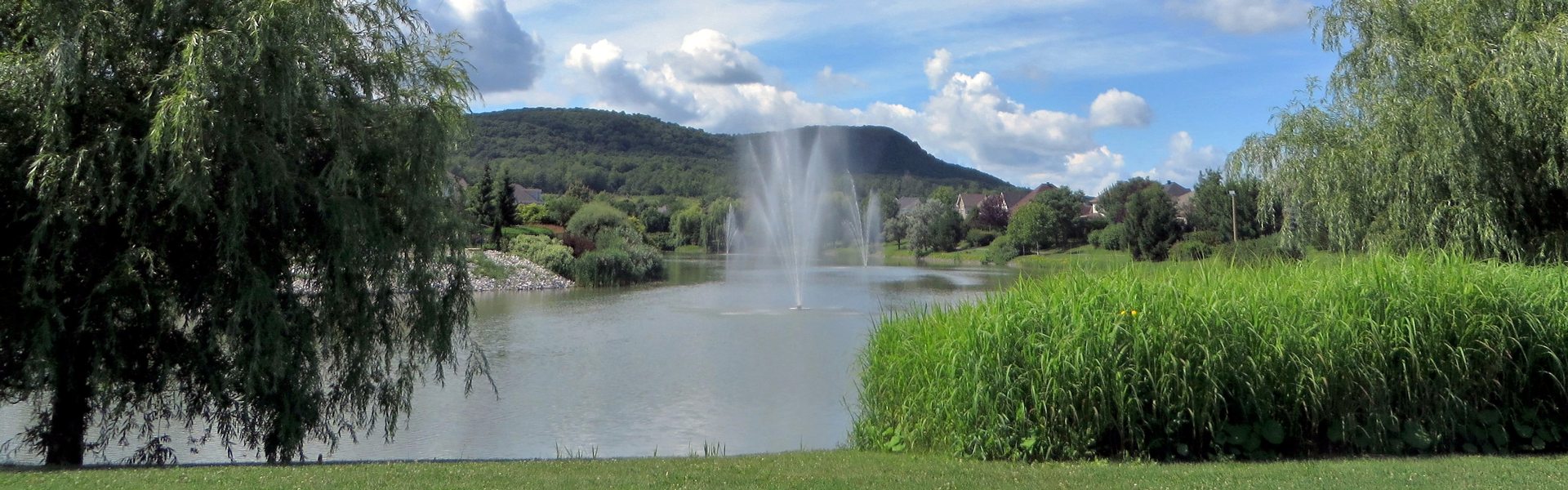 Photo du parc de Montpellier - Bassin