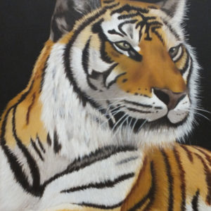 Tigre Keysha par Diane Raymond